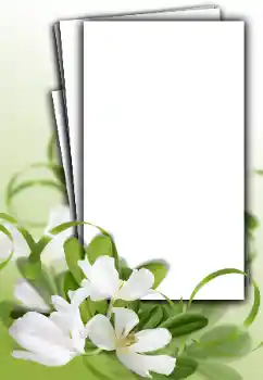 Photo effect from category Women's photo frames № 163548 Photo effect from category Women's photo frames № 163548