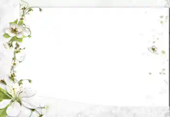 Photo effect from category Women's photo frames № 163602 Photo effect from category Women's photo frames № 163602