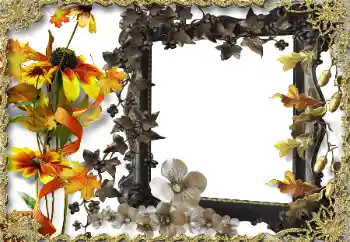 Photo effect from category Women's photo frames № 164786