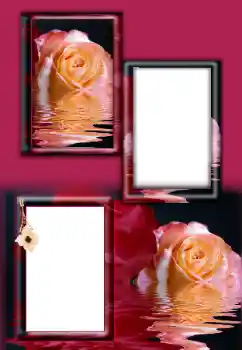Photo effect from category Women's photo frames № 164787