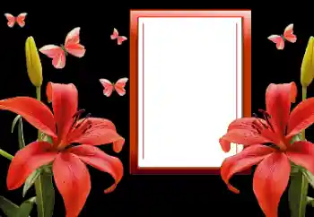Photo effect from category Women's photo frames № 164820