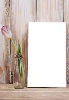 Photo effect from category Women's photo frames № 165992 Photo effect from category Women's photo frames № 165992