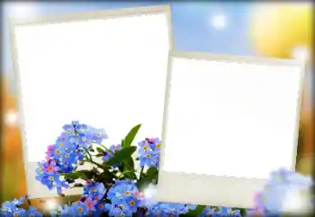 Photo effect from category Women's photo frames № 166068