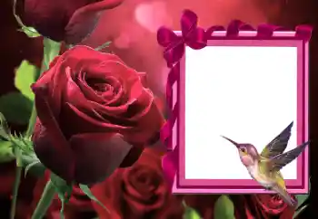 Photo effect from category Women's photo frames № 166111