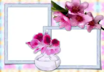 Photo effect from category Women's photo frames № 166149 Photo effect from category Women's photo frames № 166149