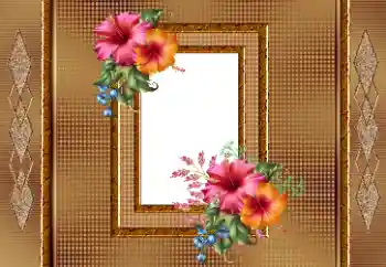 Photo effect from category Women's photo frames № 166245 Photo effect from category Women's photo frames № 166245