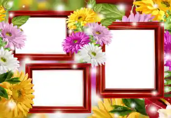 Photo effect from category Women's photo frames № 166266 Photo effect from category Women's photo frames № 166266