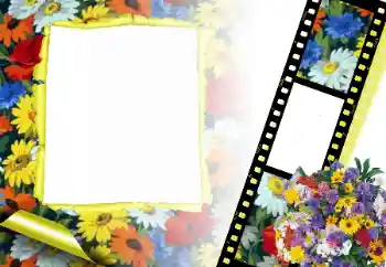 Photo effect from category Women's photo frames № 166315 Photo effect from category Women's photo frames № 166315