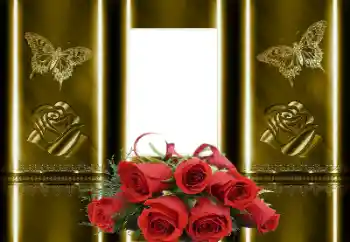Photo effect from category Women's photo frames № 166385 Photo effect from category Women's photo frames № 166385