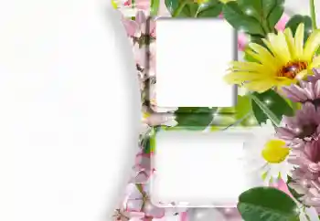 Photo effect from category Women's photo frames № 166607 Photo effect from category Women's photo frames № 166607