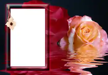 Photo effect from category Women's photo frames № 166641 Photo effect from category Women's photo frames № 166641