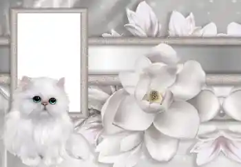 Photo effect from category Women's photo frames № 167744 Photo effect from category Women's photo frames № 167744