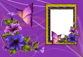 Photo effect from category Women's photo frames № 167783 Photo effect from category Women's photo frames № 167783