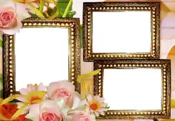 Photo effect from category Women's photo frames № 167843 Photo effect from category Women's photo frames № 167843