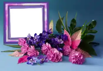 Photo effect from category Women's photo frames № 167856 Photo effect from category Women's photo frames № 167856