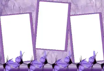 Photo effect from category Women's photo frames № 167964 Photo effect from category Women's photo frames № 167964