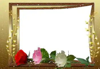 Photo effect from category Women's photo frames № 169033 Photo effect from category Women's photo frames № 169033