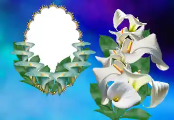 Photo effect from category Women's photo frames № 169156 Photo effect from category Women's photo frames № 169156