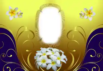 Photo effect from category Women's photo frames № 169210 Photo effect from category Women's photo frames № 169210