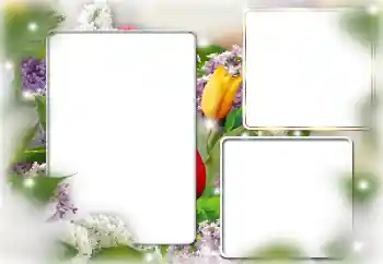 Photo effect from category Women's photo frames № 169224 Photo effect from category Women's photo frames № 169224