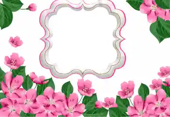 Photo effect from category Women's photo frames № 169271