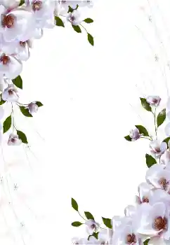 Photo effect from category Women's photo frames № 16997