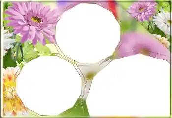 Photo effect from category Women's photo frames № 170418 Photo effect from category Women's photo frames № 170418