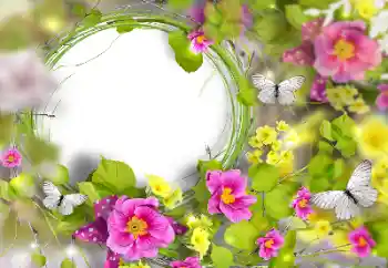 Photo effect from category Women's photo frames № 170446 Photo effect from category Women's photo frames № 170446