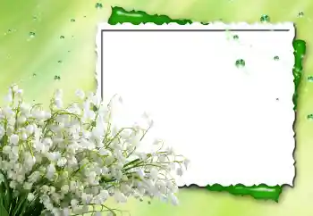 Photo effect from category Women's photo frames № 170480 Photo effect from category Women's photo frames № 170480