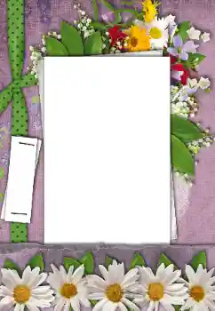 Photo effect from category Women's photo frames № 170521 Photo effect from category Women's photo frames № 170521