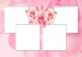Photo effect from category Women's photo frames № 170544 Photo effect from category Women's photo frames № 170544
