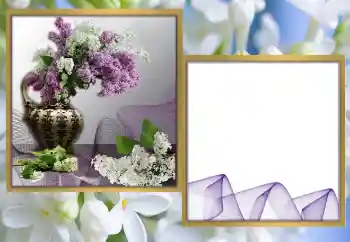 Photo effect from category Women's photo frames № 170570 Photo effect from category Women's photo frames № 170570