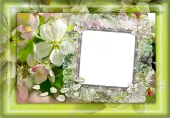 Photo effect from category Women's photo frames № 170627