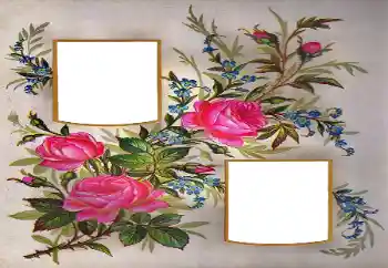 Photo effect from category Women's photo frames № 171684