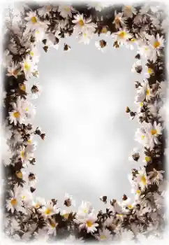 Photo effect from category Women's photo frames № 172819