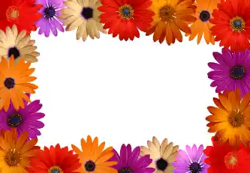 Photo effect from category Women's photo frames № 172916