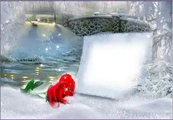 Photo effect from category Women's photo frames № 172963