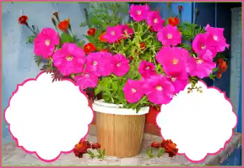 Photo effect from category Women's photo frames № 172978