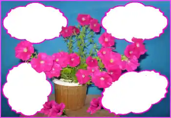 Photo effect from category Women's photo frames № 172980