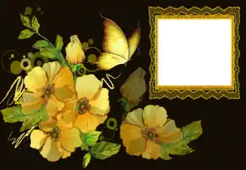 Photo effect from category Women's photo frames № 172997