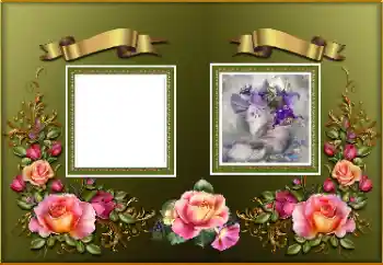 Photo effect from category Women's photo frames № 174094
