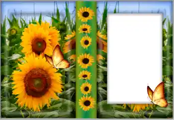 Photo effect from category Women's photo frames № 175542