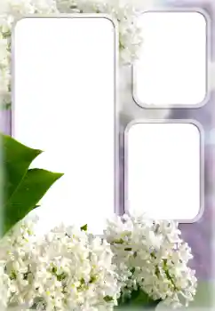 Photo effect from category Women's photo frames № 176613