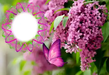 Photo effect from category Women's photo frames № 176770