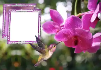 Photo effect from category Women's photo frames № 176778