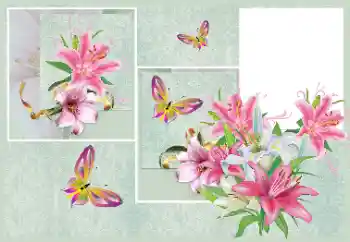 Photo effect from category Women's photo frames № 176820