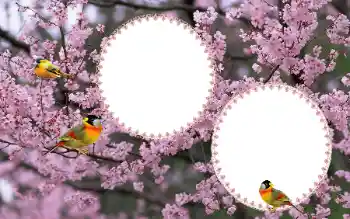 Photo effect from category Women's photo frames № 177884