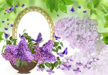 Photo effect from category Women's photo frames № 177975 Photo effect from category Women's photo frames № 177975