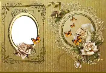 Photo effect from category Women's photo frames № 178245