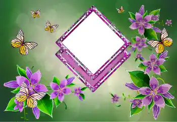 Photo effect from category Women's photo frames № 178292